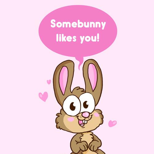 Somebunny likes bunny hase Kaninchen liebe rosa herz