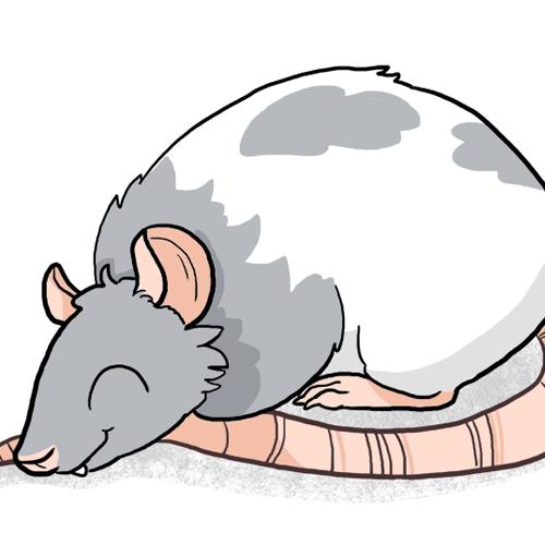 Sleepy Rat Ratte schlafend muede Maus Mouse