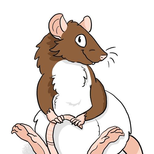 Sitzende Ratte Rat Maus Mouse cute kawaii