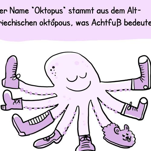 Oktopus Krake Oktopoden Wissenschaft Science Biologie Edutainment