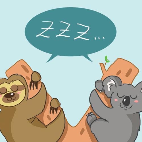 Weltschlaftag schlafen faultier Sloth Koala