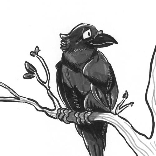 Krhe Crow Rabe Vogel Skizze Tuschezeichnung